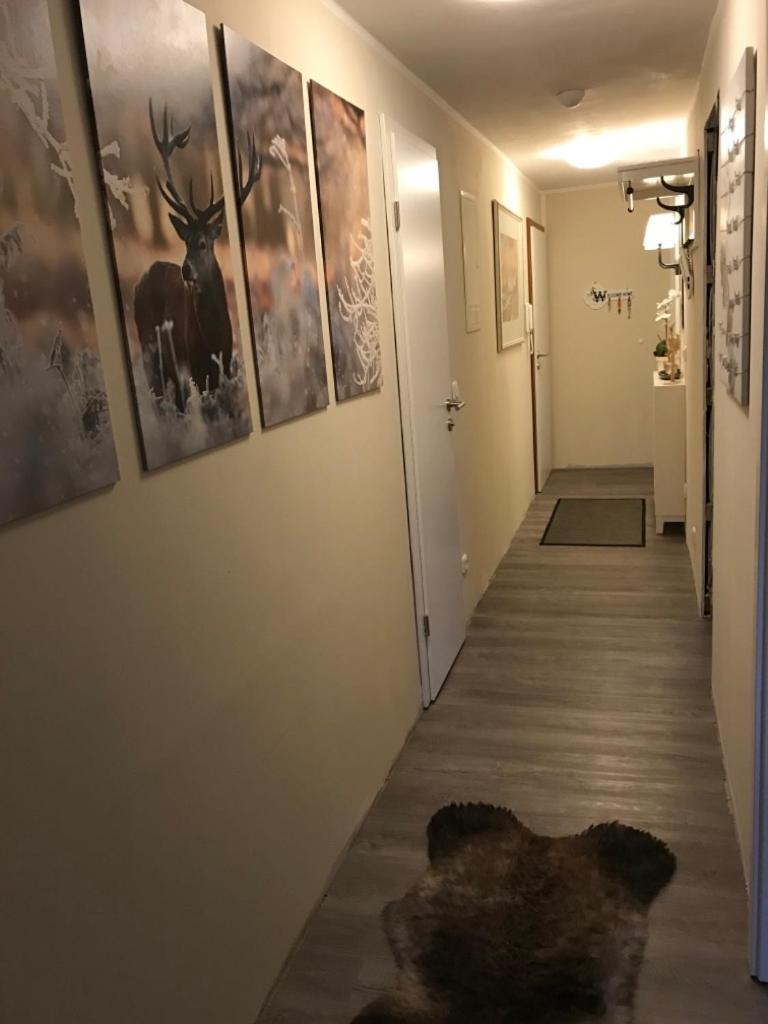 Apartament Wurmbergtraum Celina In Braunlage 4 Sterne Zertifiziert Vom Dtv Inklusive Waeschepakete Zewnętrze zdjęcie